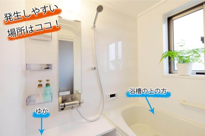 ゆか、浴槽の上のほうに皮脂汚れは発生しやすい