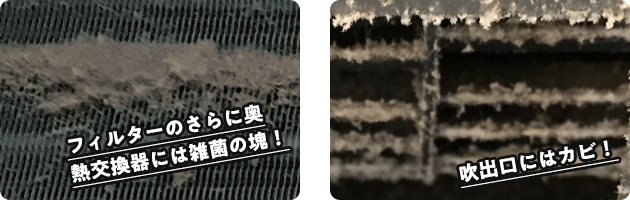 ィルターのさらに奥熱交換器には雑菌の塊。吹出口にはカビ。