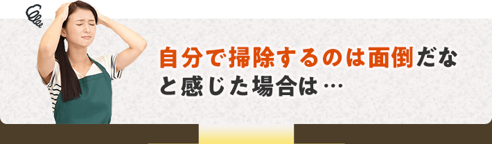 自分で掃除するのは面倒だなと感じた場合は