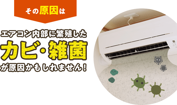 その原因はエアコン内部に繁殖したカビ・雑菌が原因かもしれません。