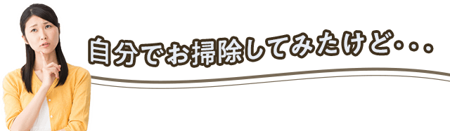 自分でお掃除してみたけど。